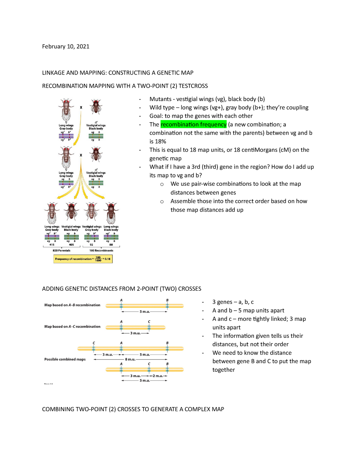 February 10 Lecture Notes February 10 2021 LINKAGE AND MAPPING   Thumb 1200 1553 