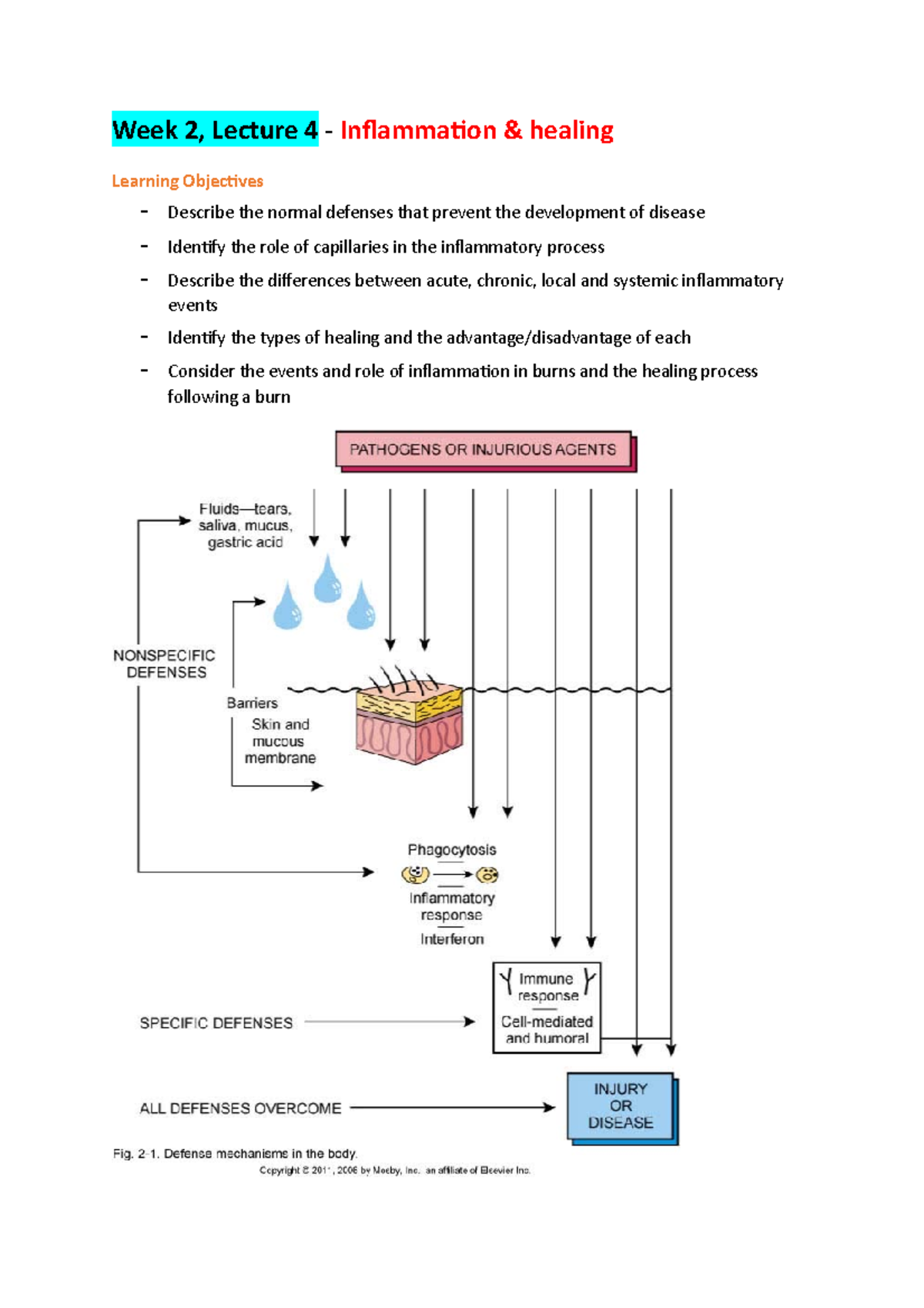 HUBS2505 week 2 lecture note - Week 2, Lecture 4 - Inflammation ...