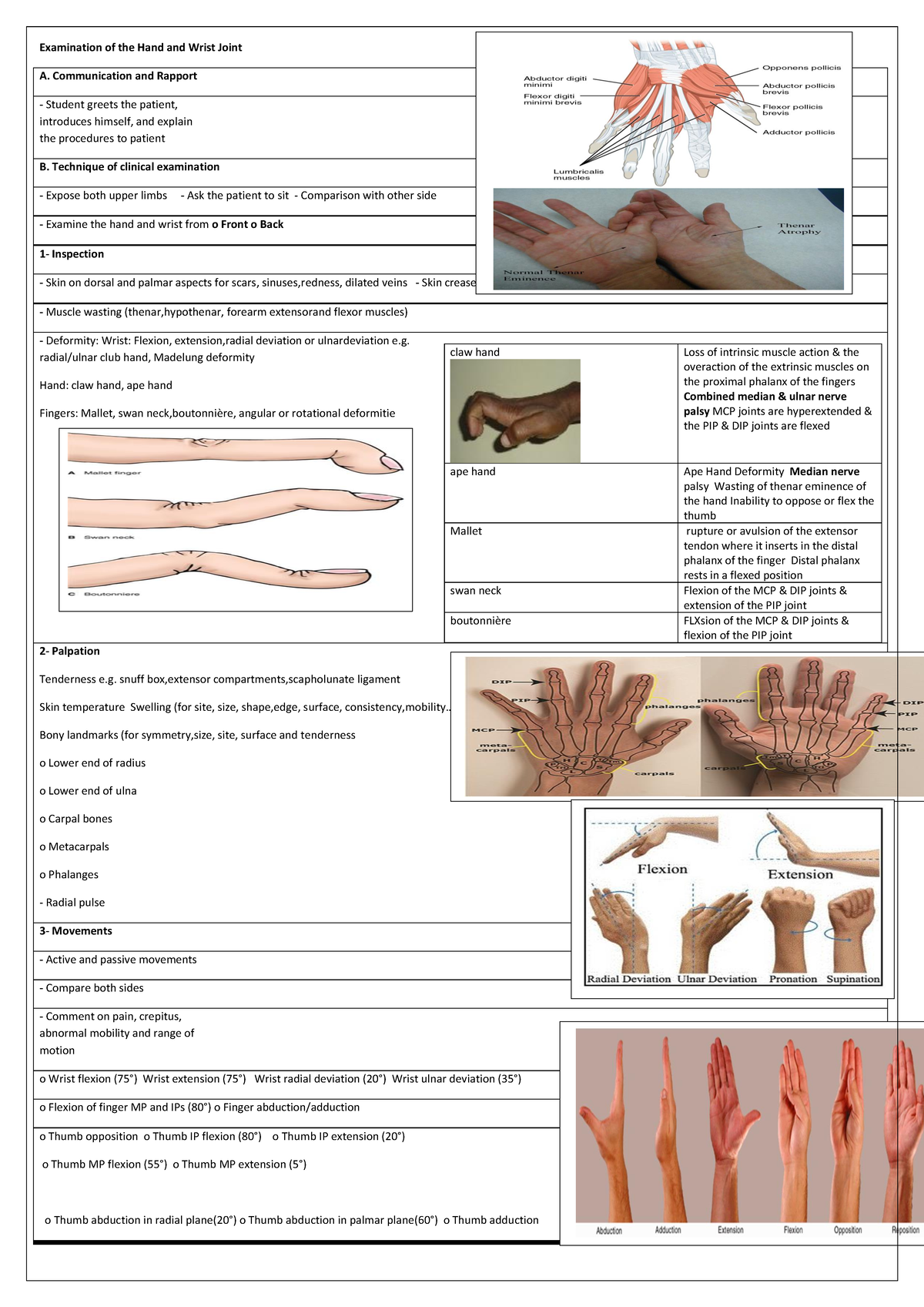 Examination of the Hand and Wrist Joint - Communication and Rapport ...