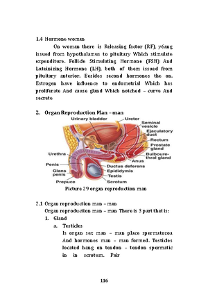 Basic anatomy and physiology of matter-63 - 120 The same vase deferens ...