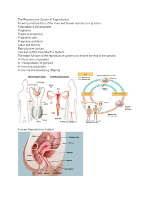 Skeletal and Muscular Systems - Skeletal and Muscular Systems Provides ...