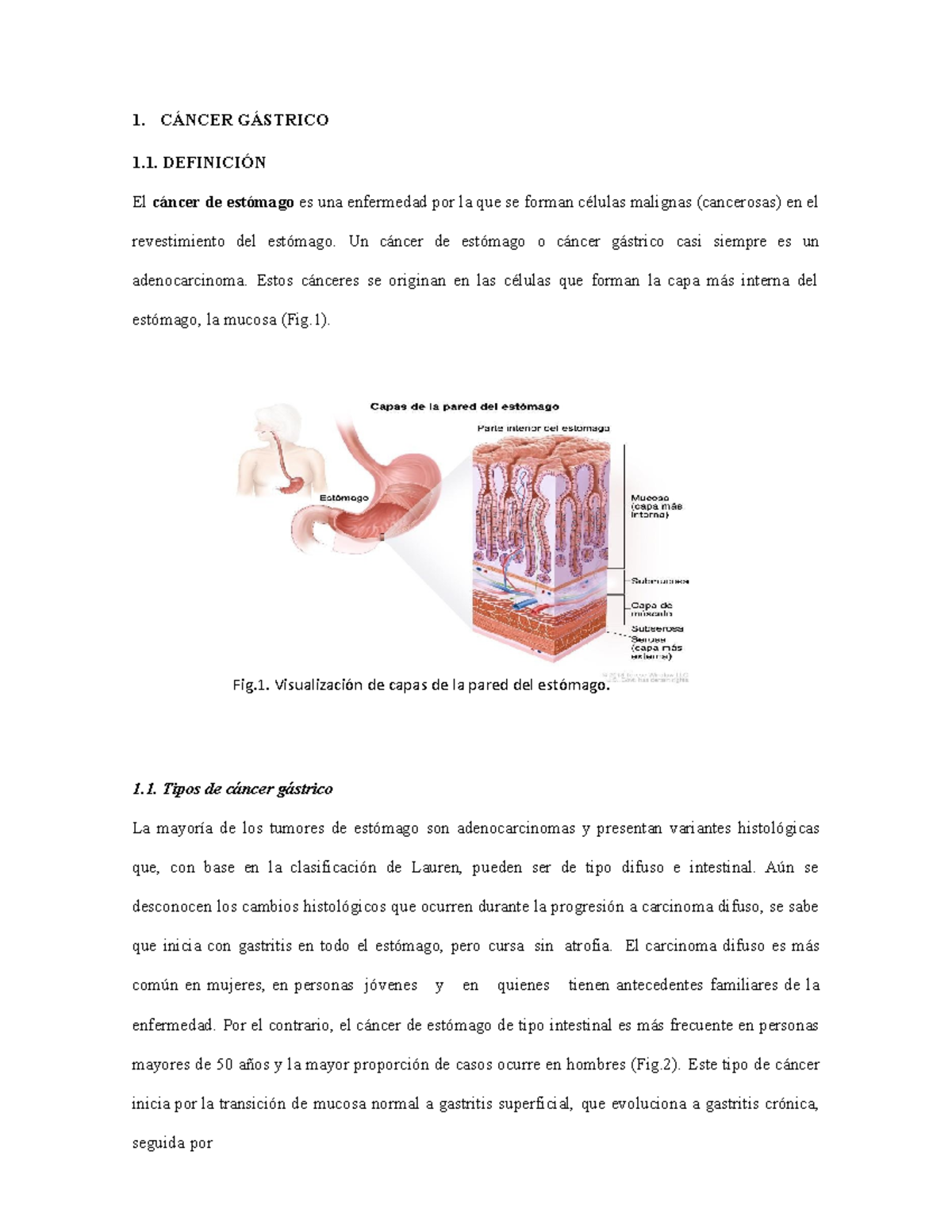 Cancer gastrico - Fig. Visualización de capas de la pared del estómago ...