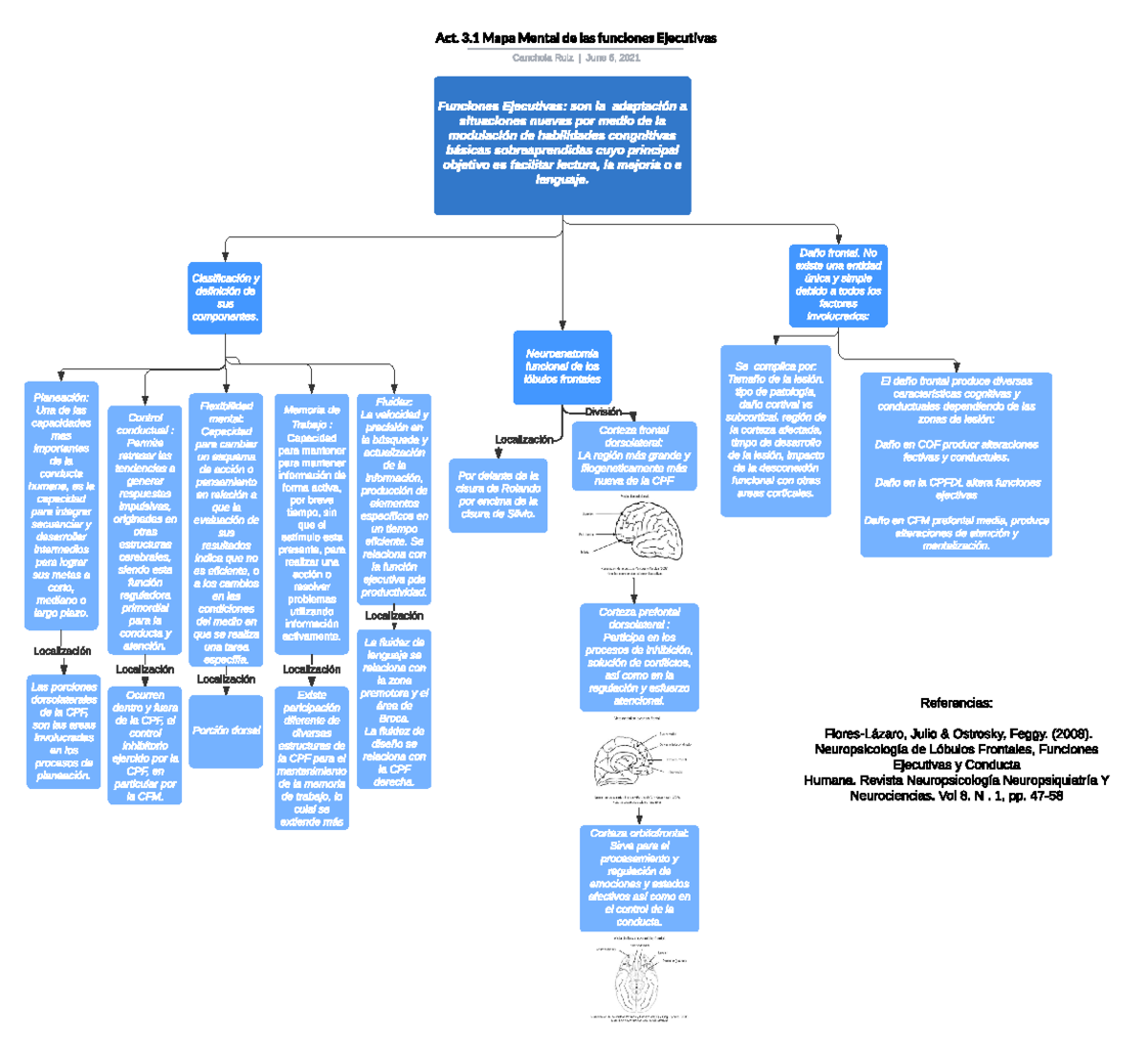 Top Imagen Mapa Mental De Las Funciones Viaterra Mx