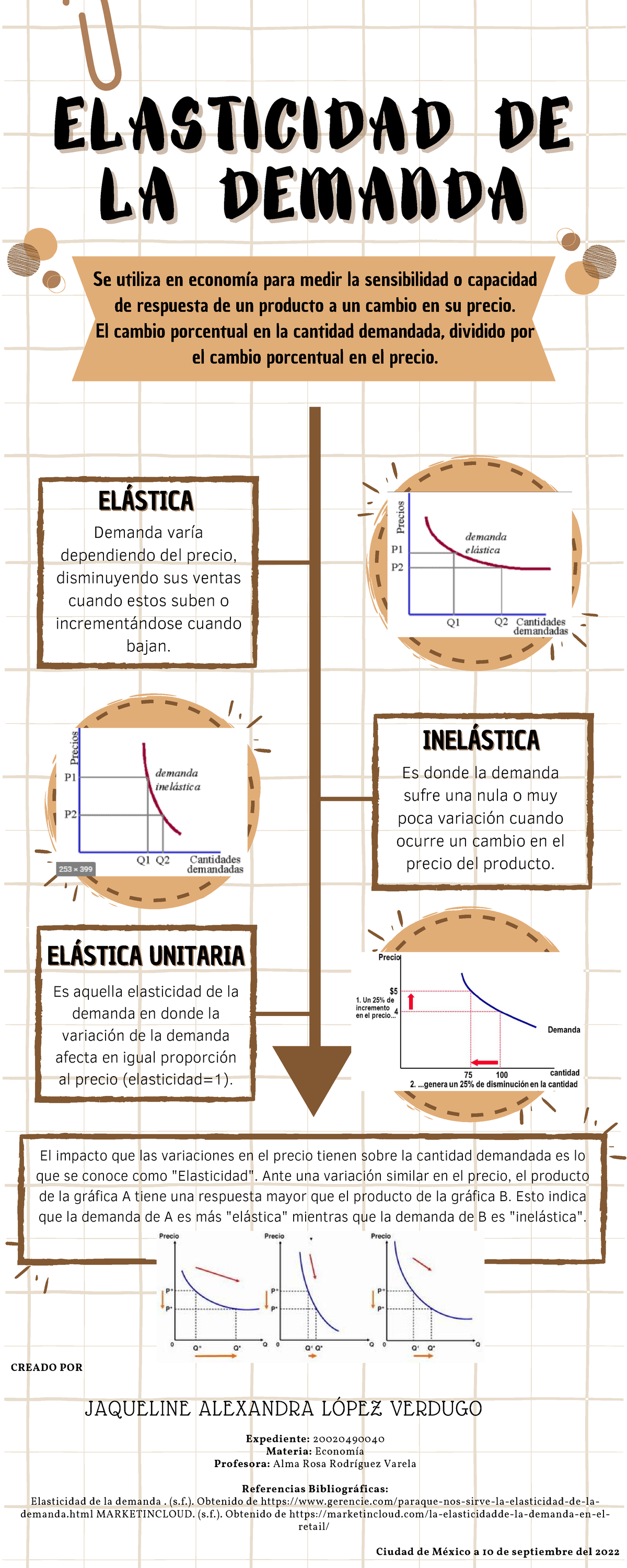 Actividad 7 Infografía Elasticidad De La Demanda - ELASTICIDAD ...