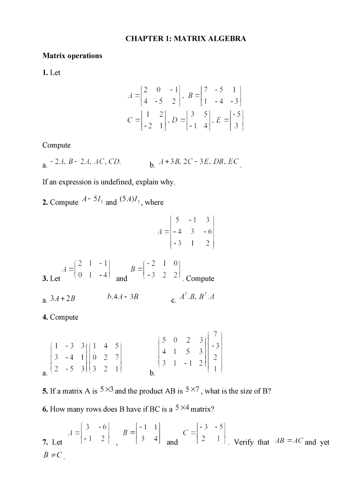 Linear Algebra - Exercises (Homework) - CHAPTER 1: MATRIX ALGEBRA ...