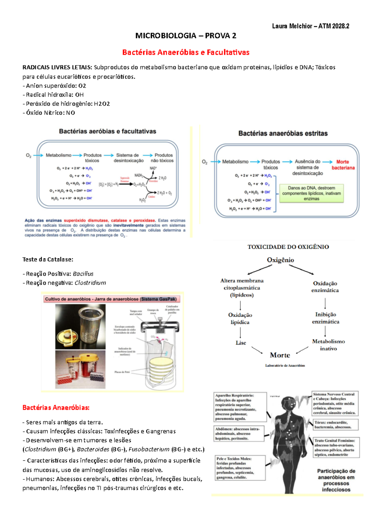 Resumo microbio prova 2 - MICROBIOLOGIA – PROVA 2 Bactérias Anaeróbias ...