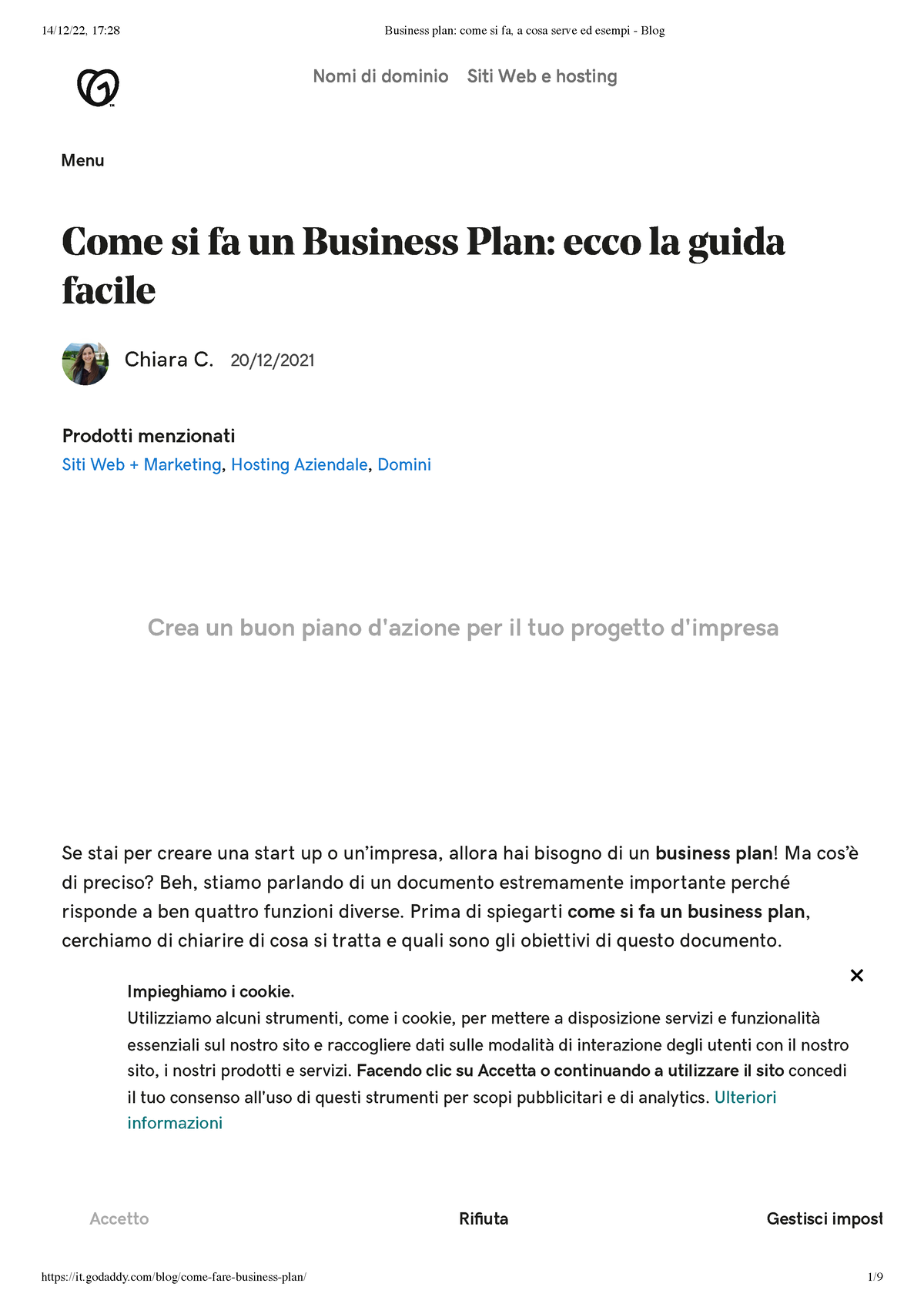 business plan come si fa