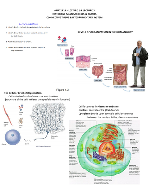 Anat Introduction to Systemic Anatomy - Anatomy - working of the body ...