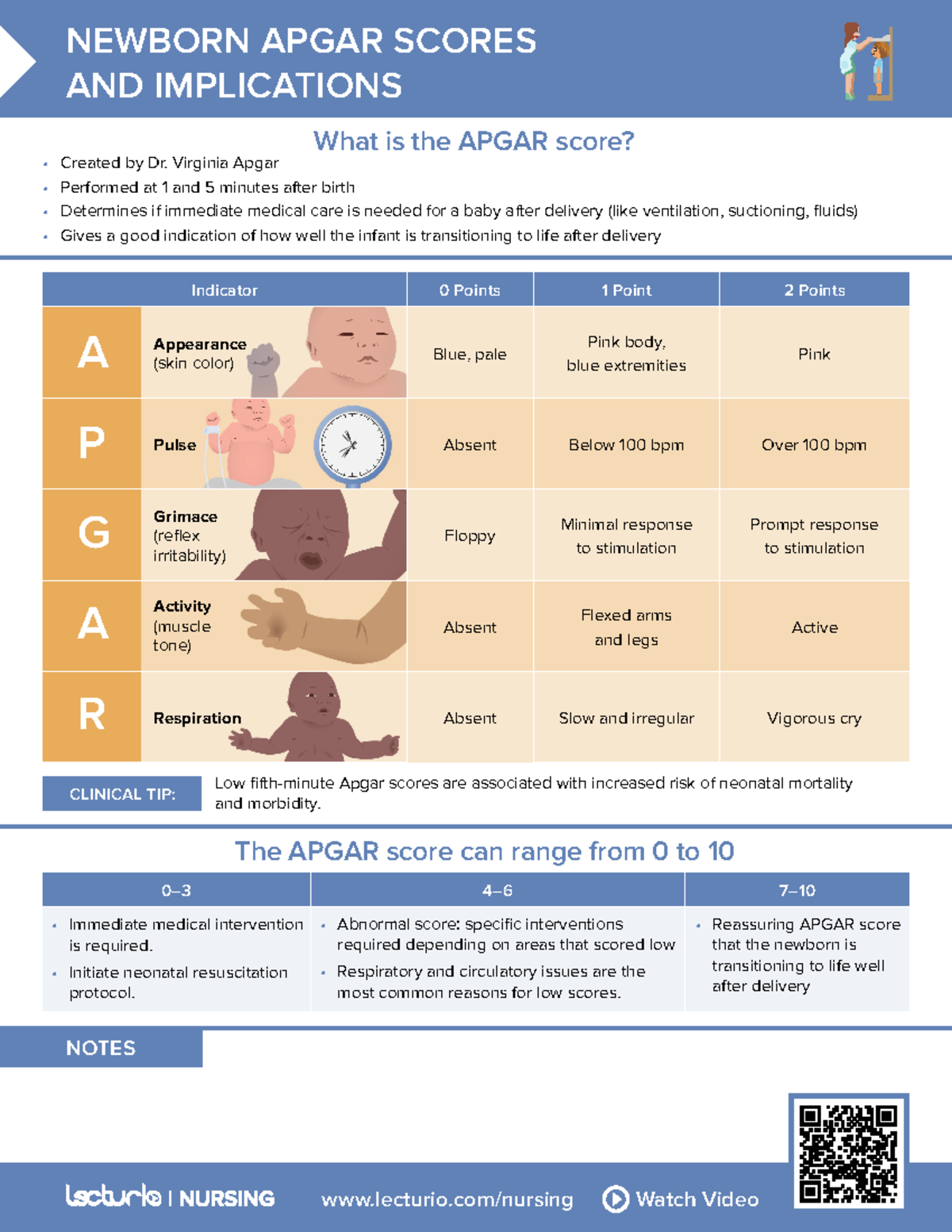 Nursing CS Newborn-Apgar-Scores-and-Implications 04 - Lecturio/nursing ...