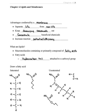 Chapter 7 Notes - Chapter 7 Putting it all together to form cells ...