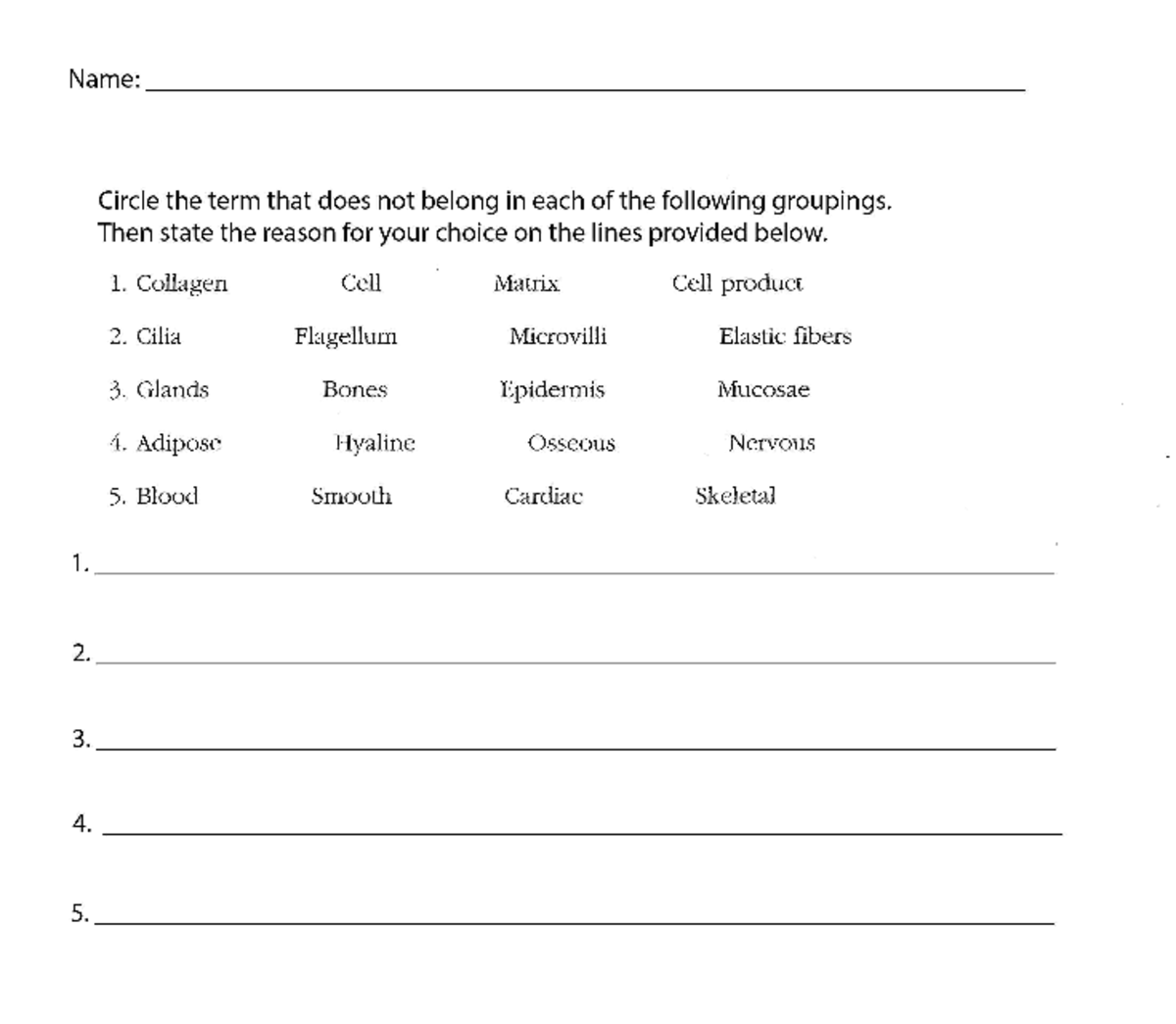 connective-tissues-worksheet-bio-206-studocu