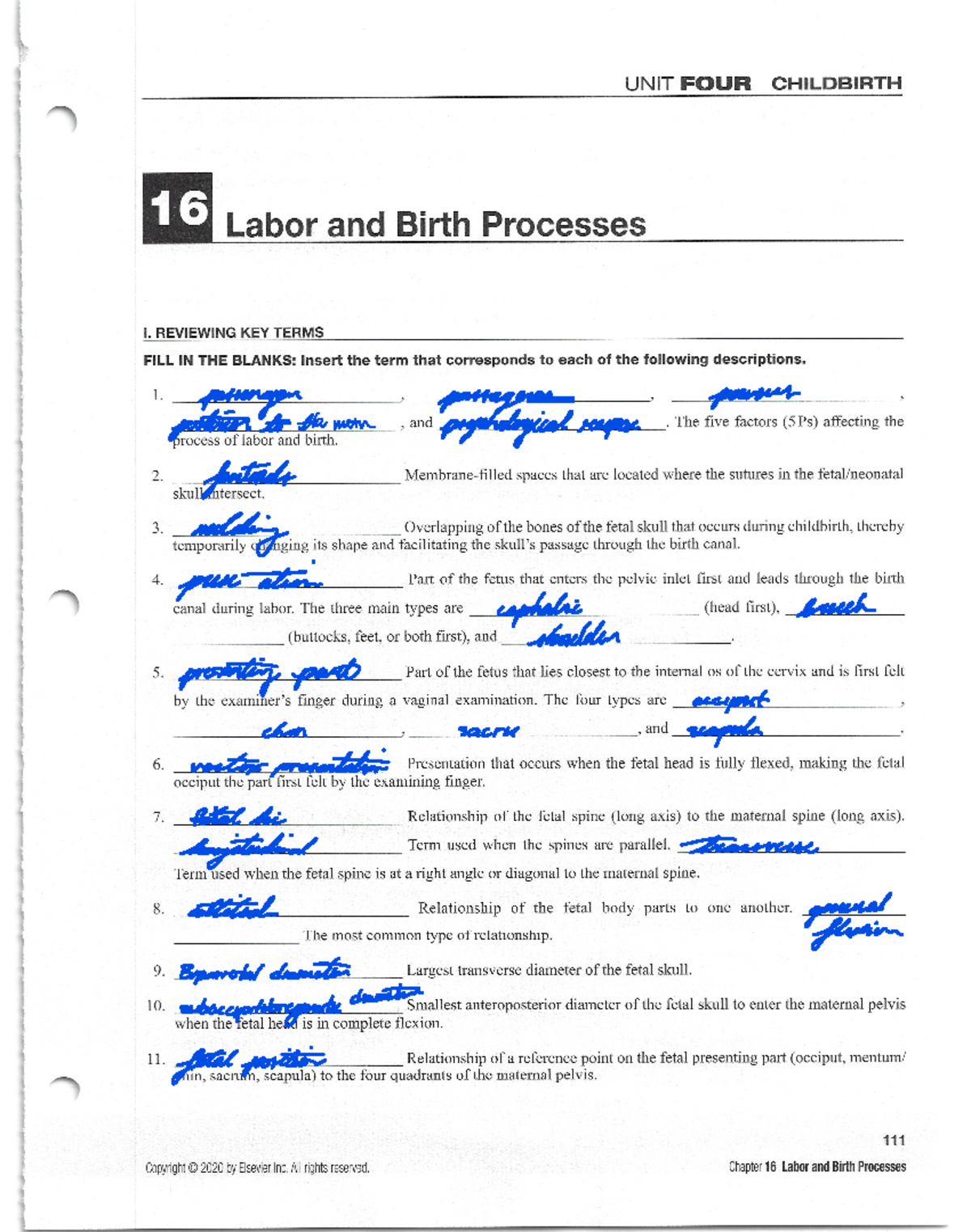 Worksheet Chapter 16 Work Sheet Nurs 3850 Studocu Worksheet Chapter 16 Work Sheet Nurs 3850 Studocu