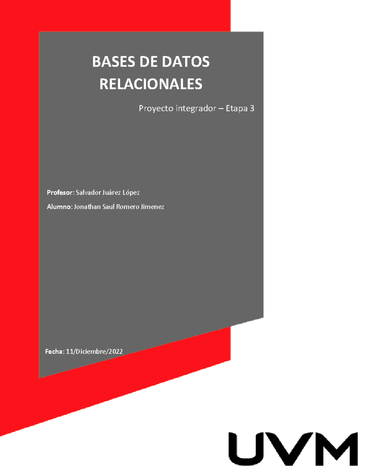 Actividad 8 Data Base Proyecto Integrador Etapa 3 Bases De Datos