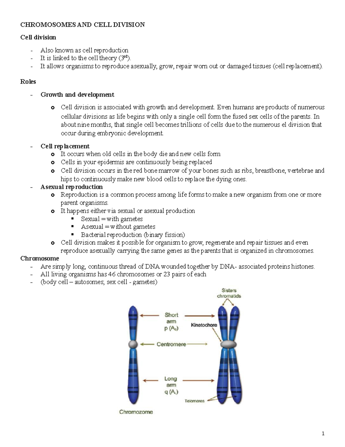 Biology - Lesson 5 - Chromosomes and Cell Division - CHROMOSOMES AND ...