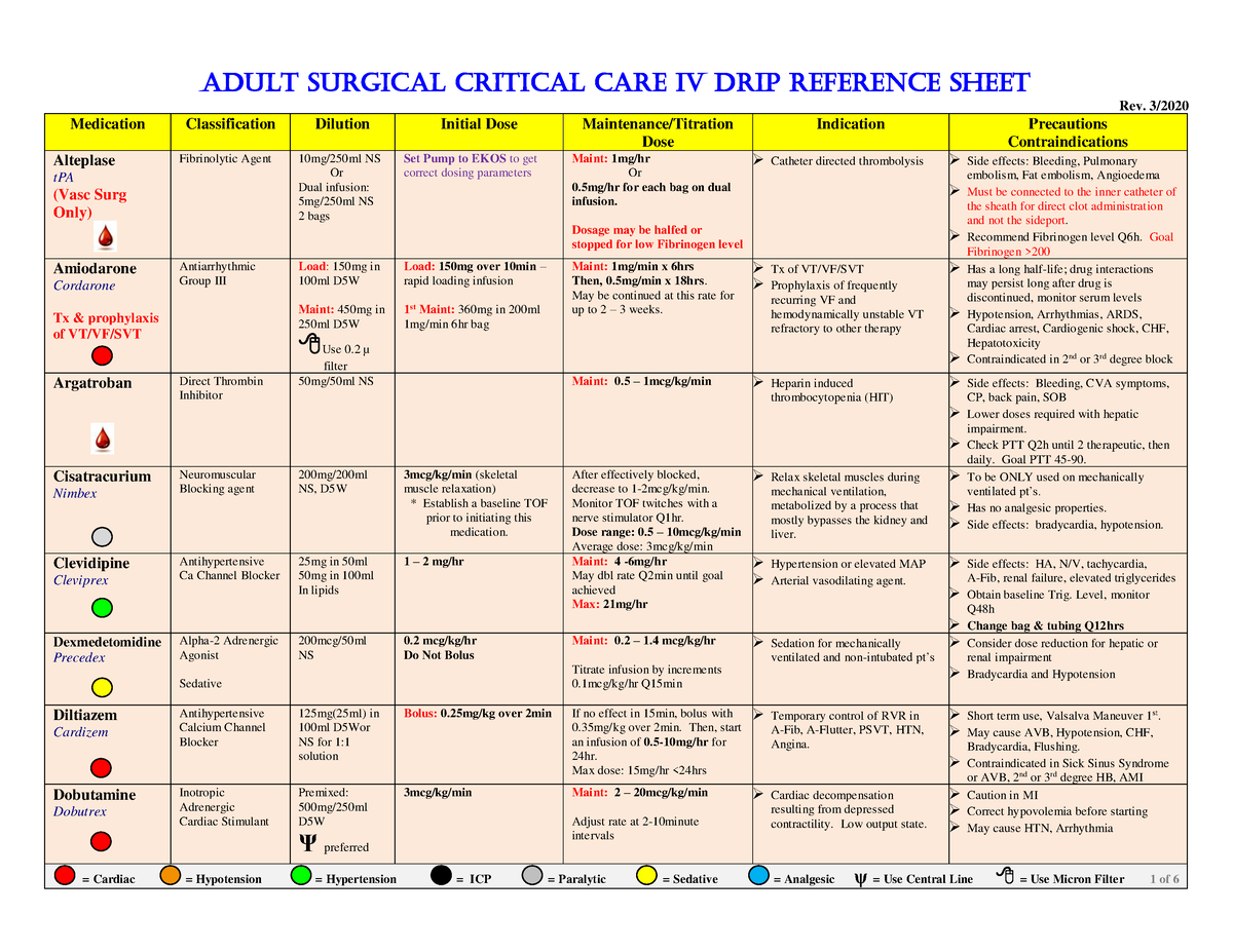 Critical+Care+Drug+Reference+Sheet - Adult Surgical Critical care iv ...