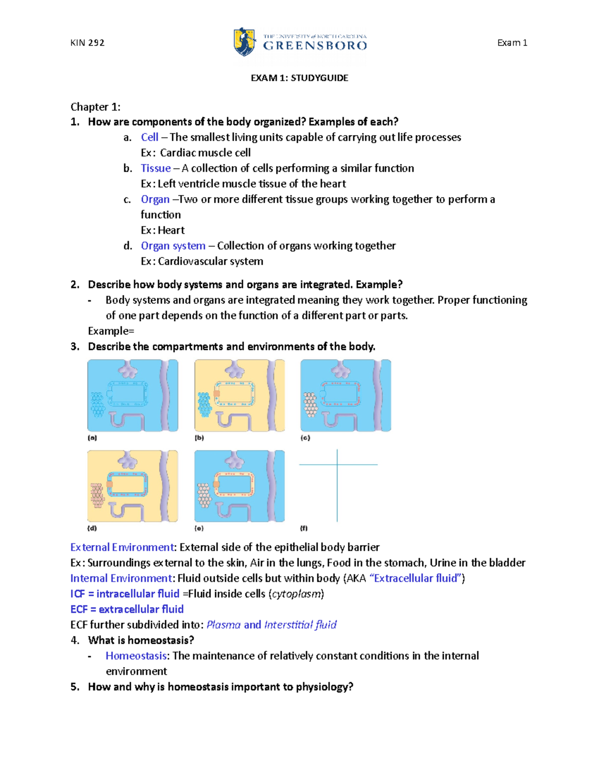 KIN 292 Exam 1 Study Guide Sp21 - EXAM 1: STUDYGUIDE Chapter 1: 1. How ...