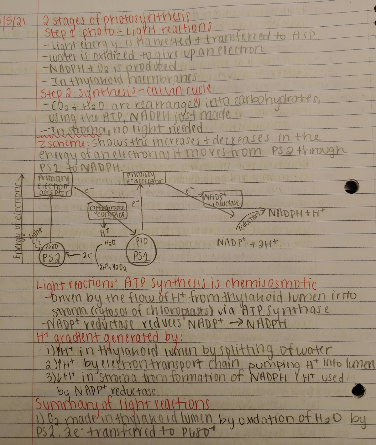 0626222258 b - In class notes from Dr. Hare's lecture analyzing the ...
