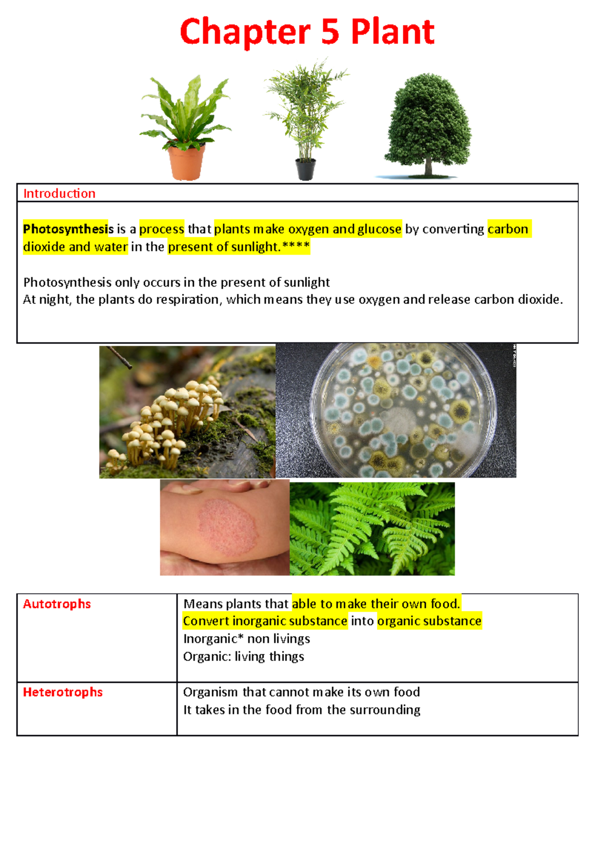 5 Plant teacher updated - Chapter 5 Plant Introduction Photosynthesis ...