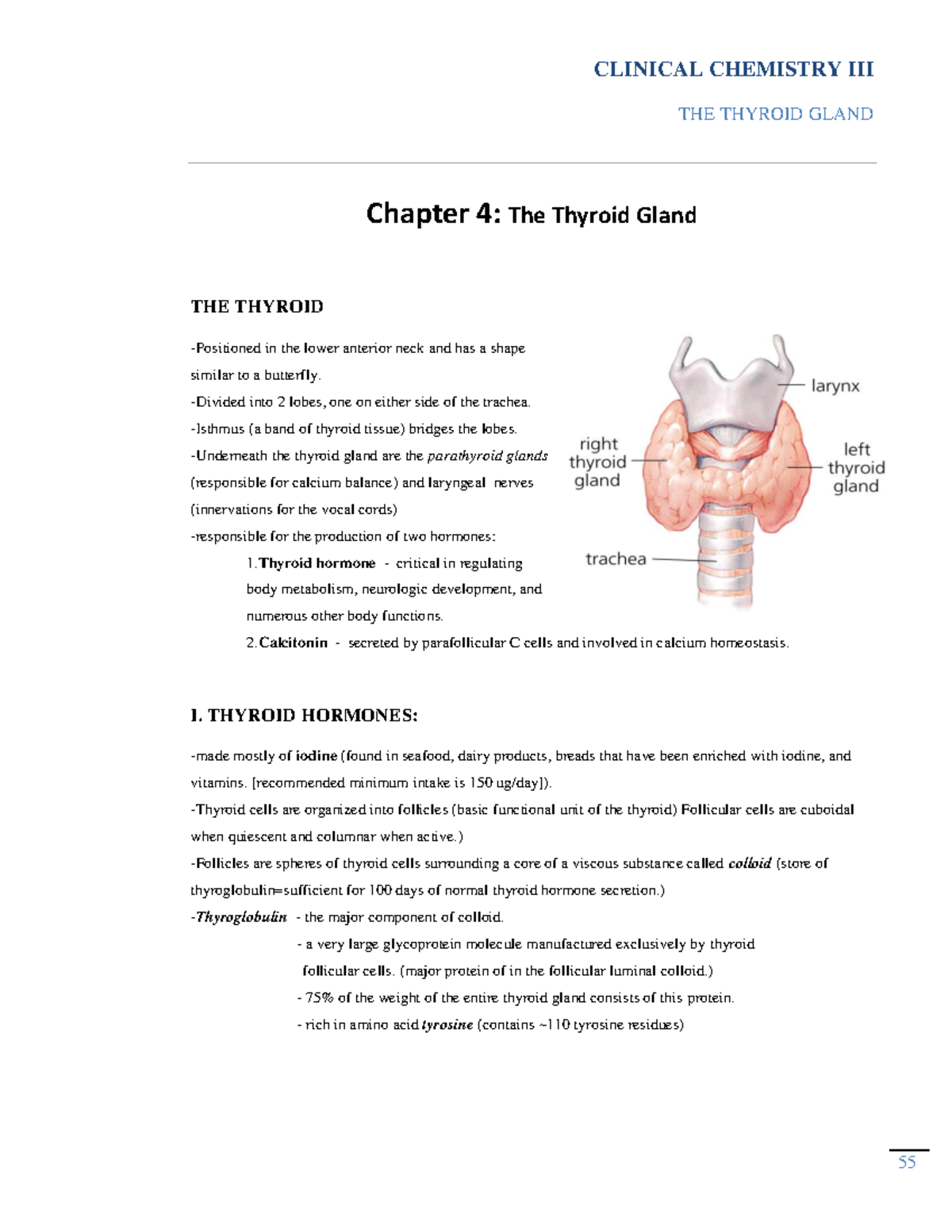 Chap4 The Thyroid Gland - THE THYROID GLAND Chapter 4: The Thyroid ...