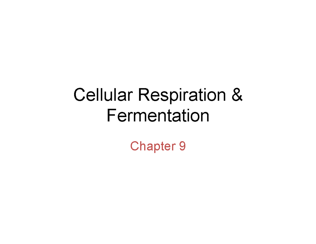 Ch09 Select Slides 2 - notes - Cellular Respiration & Fermentation ...