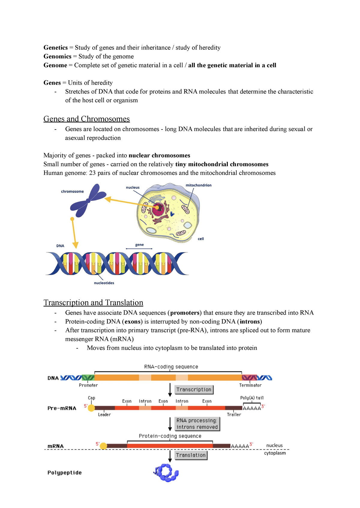 Key Terms and Concepts - Genetics = Study of genes and their ...