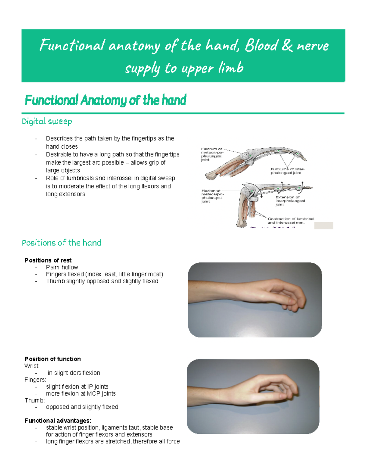 OTHY102 Week 4 Functional anatomy of the hand, Blood & nerve supply to ...