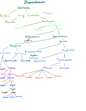 Altklausur Bio02 MultipleChoice 2018 230111 204025 Morphologie und