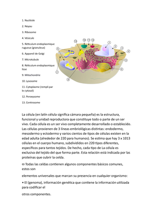 Apuntes Biología - TEMA 1 Sales Minerales - TEMA 1: EL AGUA Y LAS SALES ...