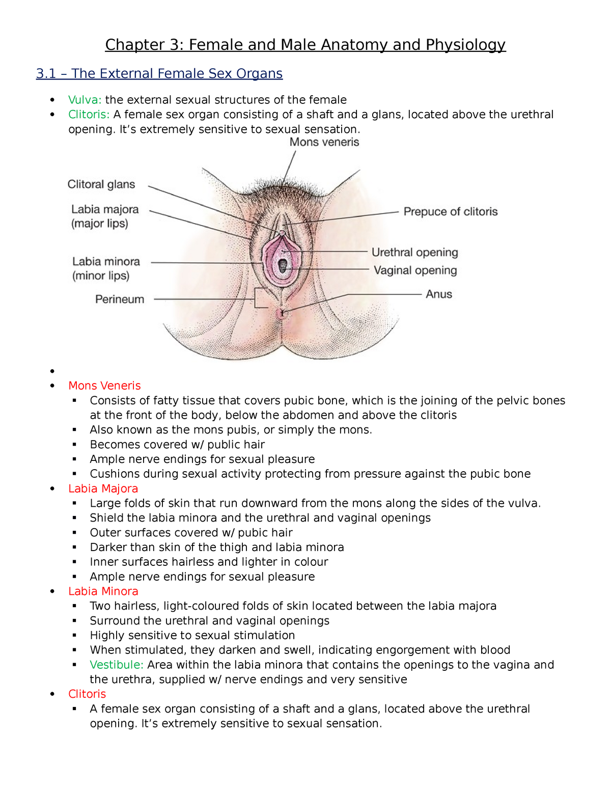 The 3 in 1 Feminine Care Procedure – Mon Pubis, Labia and Vaginal