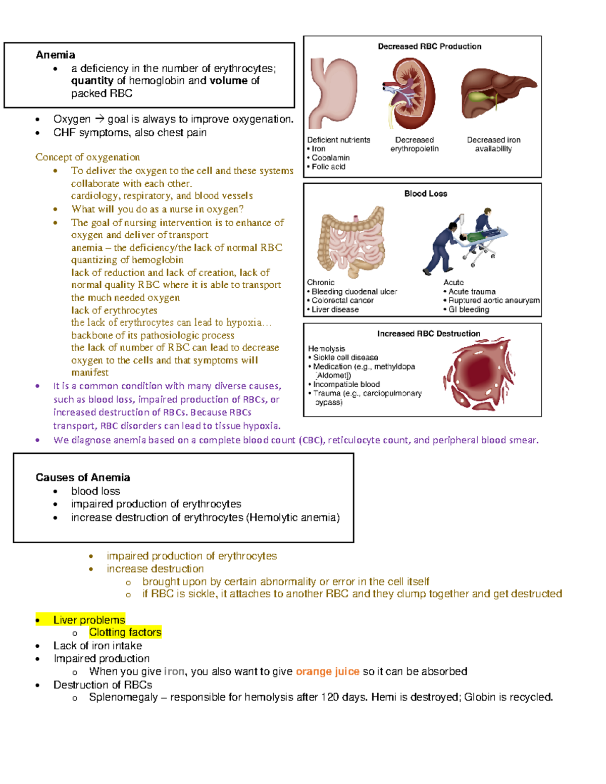 Notes Hematology - Lecture - Warning: TT: undefined function: 32 Anemia ...