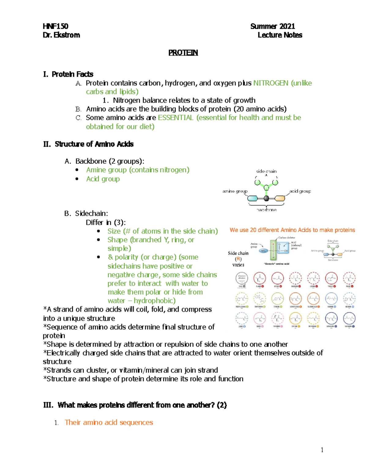 Week 3 Topic 1 Notes Dr. Ekstrom Lecture Notes PROTEIN I. Protein