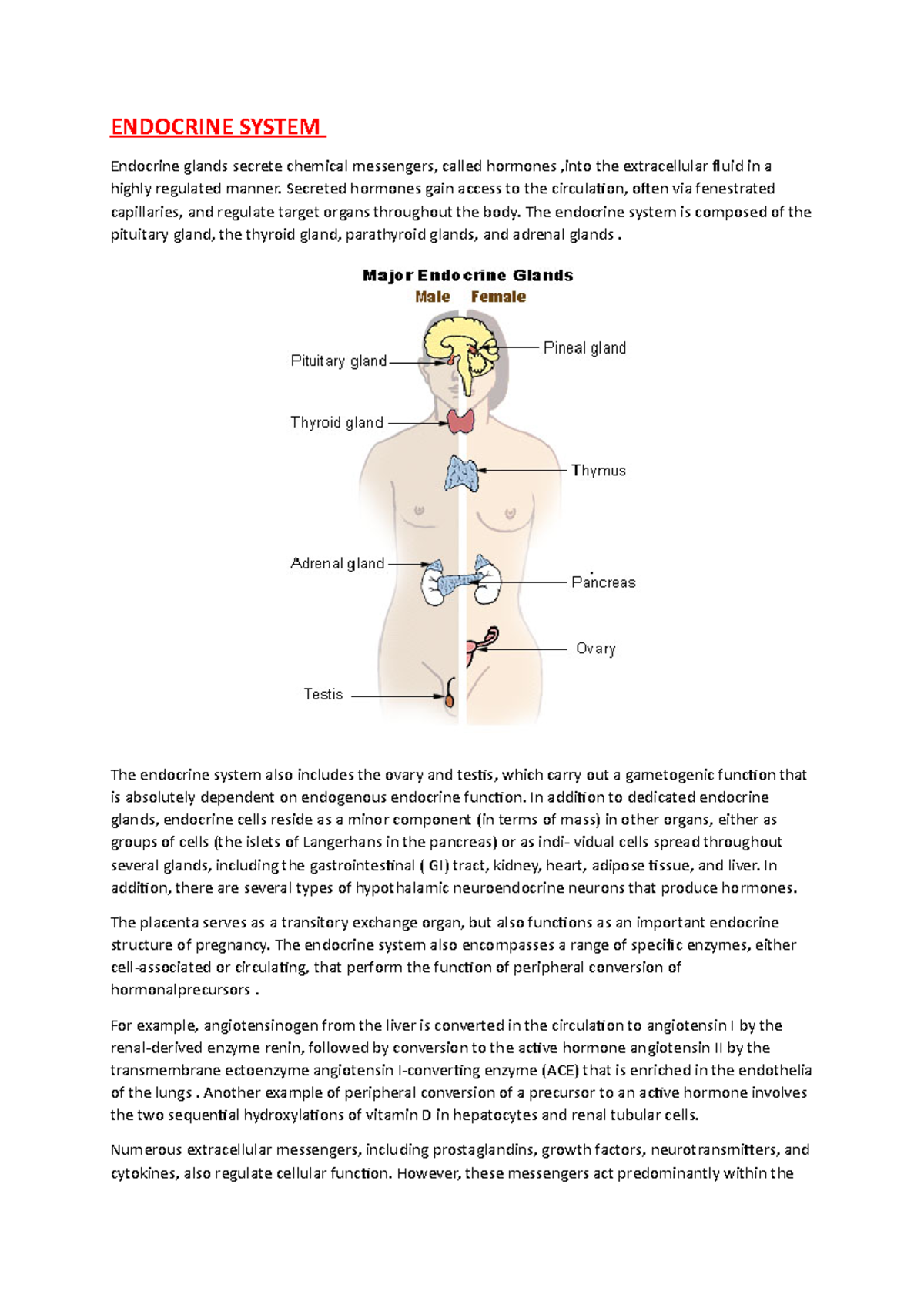 Endocrine System ENDOCRINE SYSTEM Endocrine glands secrete chemical