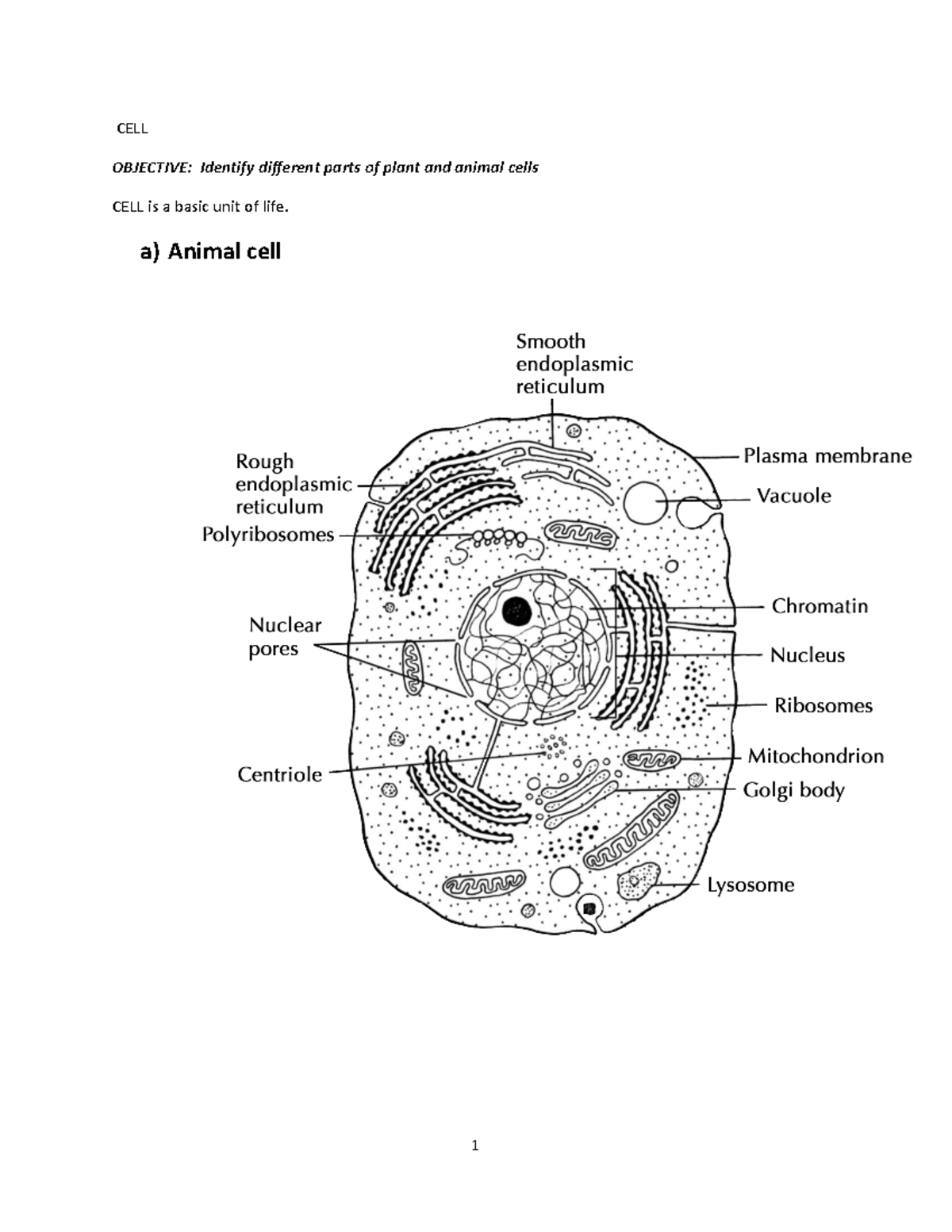 Biology notes f4-f5 - CELL OBJECTIVE: Identify different parts of plant ...