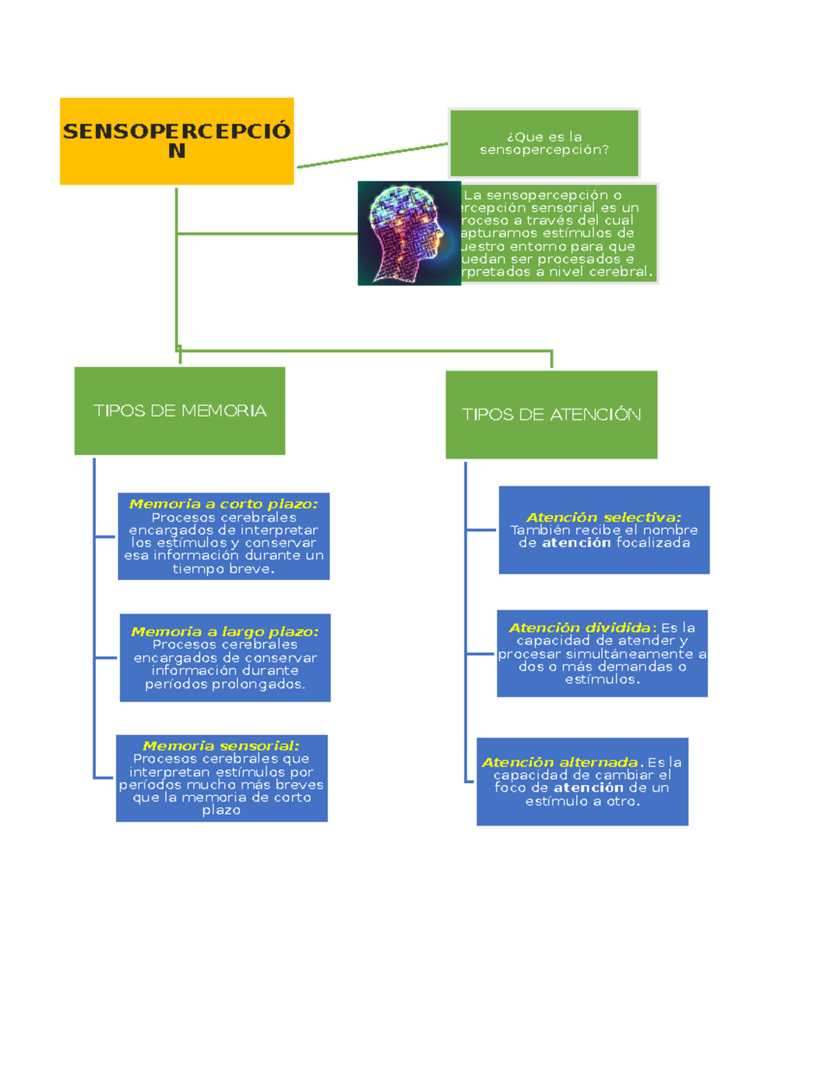 MAPA Mental Sensopercepción - SENSOPERCEPCIÓ N TIPOS DE MEMORIA Memoria a  corto plazo: Procesos - Studocu