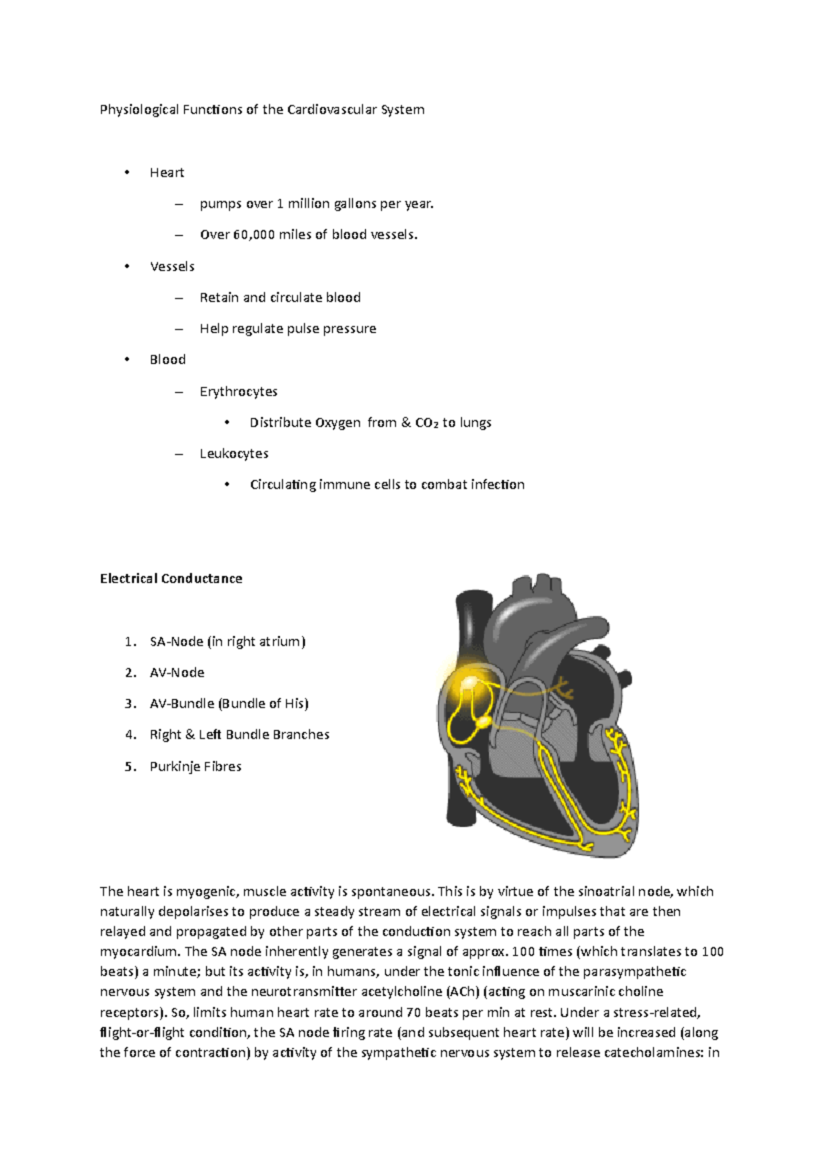 Physiological functions of cardiovascular system - Physiological ...