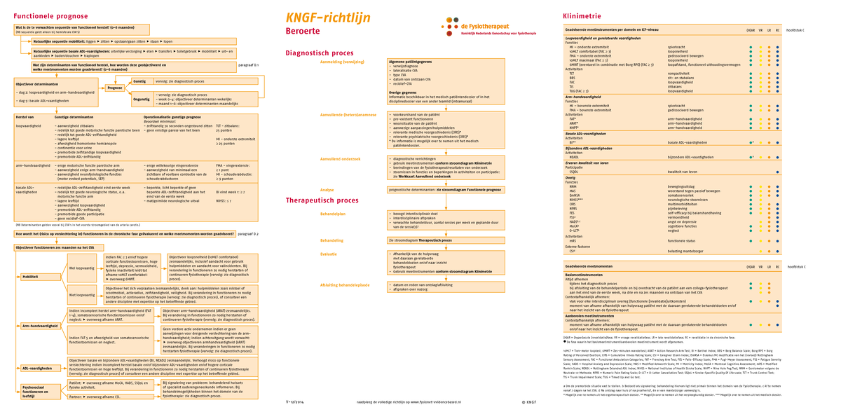 Beroerte Samenvatting - KNGF-richtlijn Beroerte V-12/2014 Raadpleeg De ...