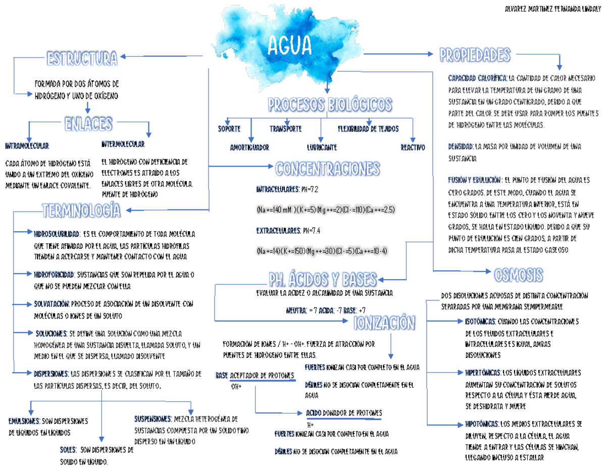 Mapa Conceptual Del Agua Agua Estructura Propiedades Enlaces Alvarez Porn Sex Picture