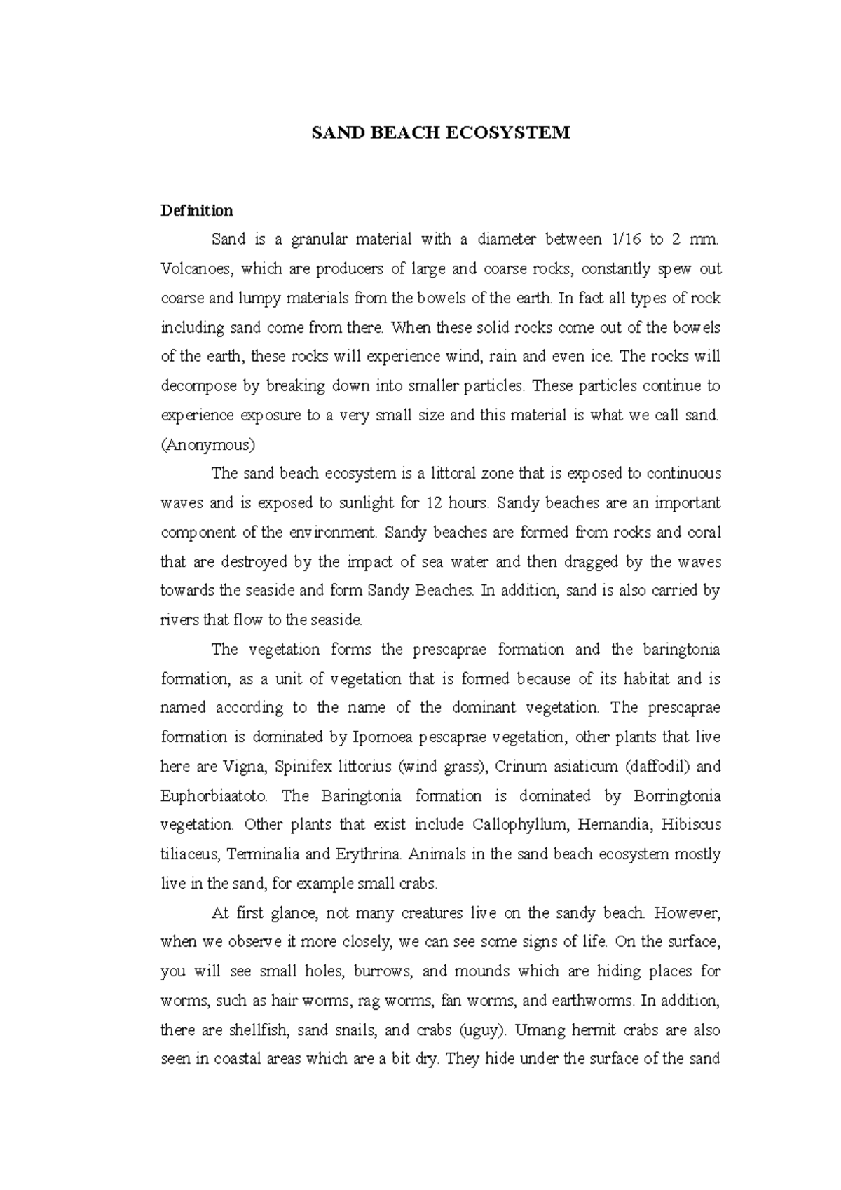 Sand Beach Ecosystem - SAND BEACH ECOSYSTEM Definition Sand is a ...