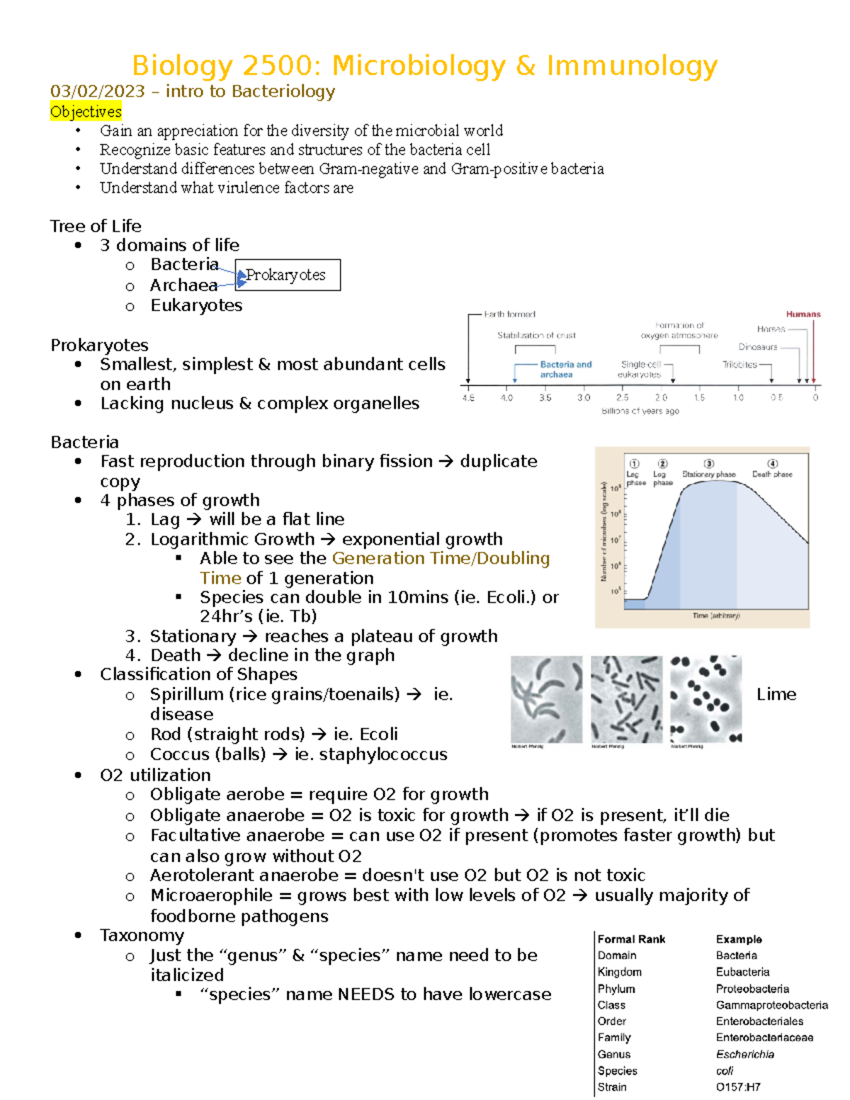 Bacteria LECTURE FOLLOW UP - 03/02/2023 – Intro To Bacteriology ...