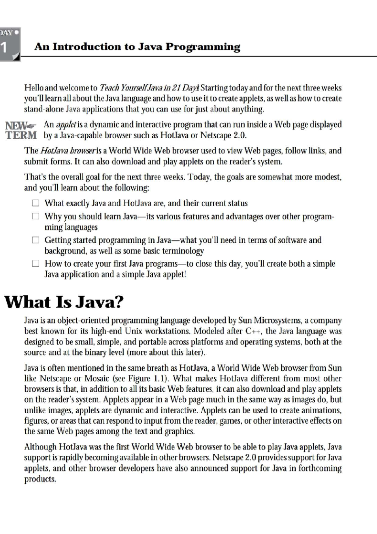 what is java essay