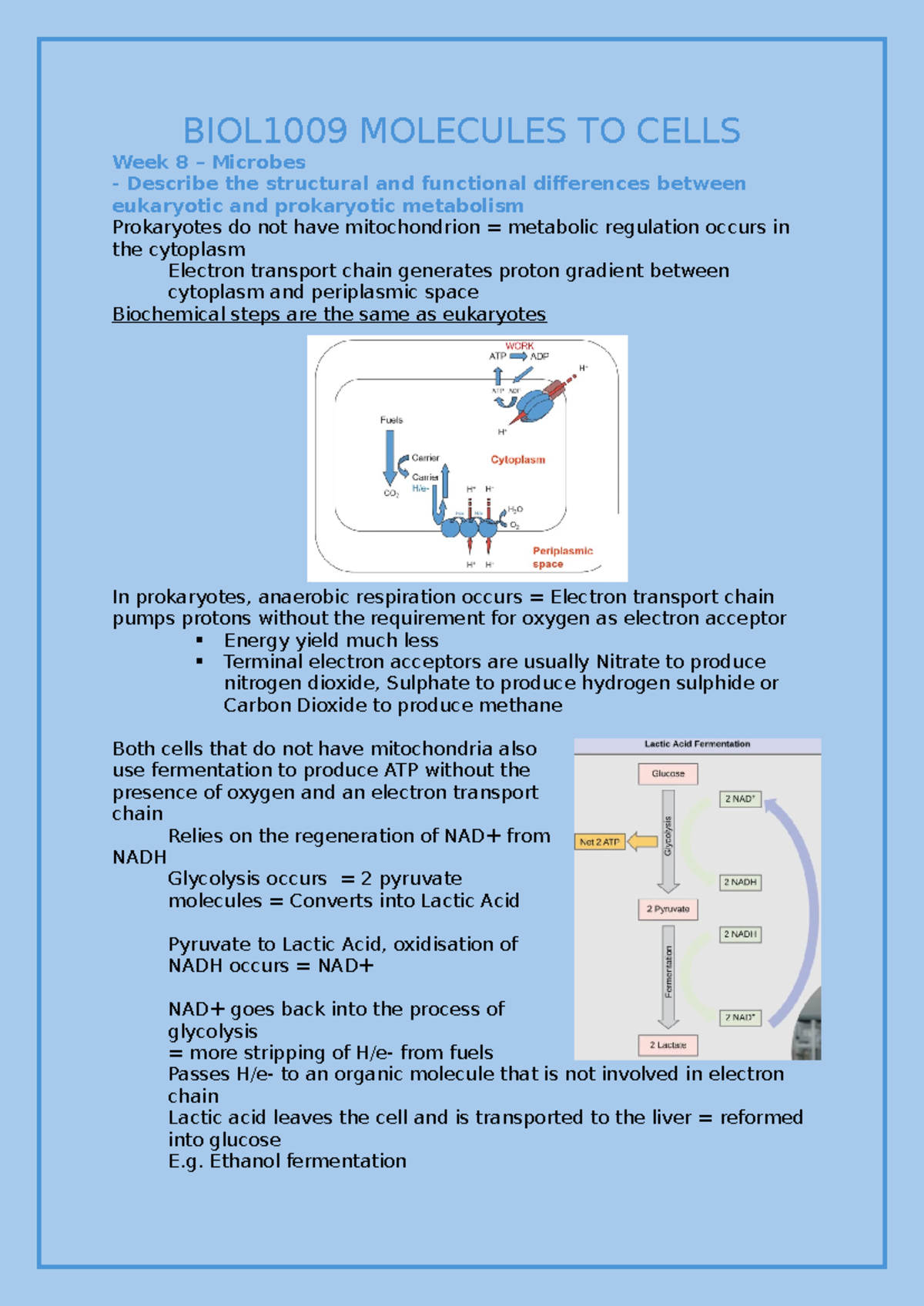 BIOL1009 Molecules to Cells week 8 notes - BIOL1009 MOLECULES TO CELLS ...