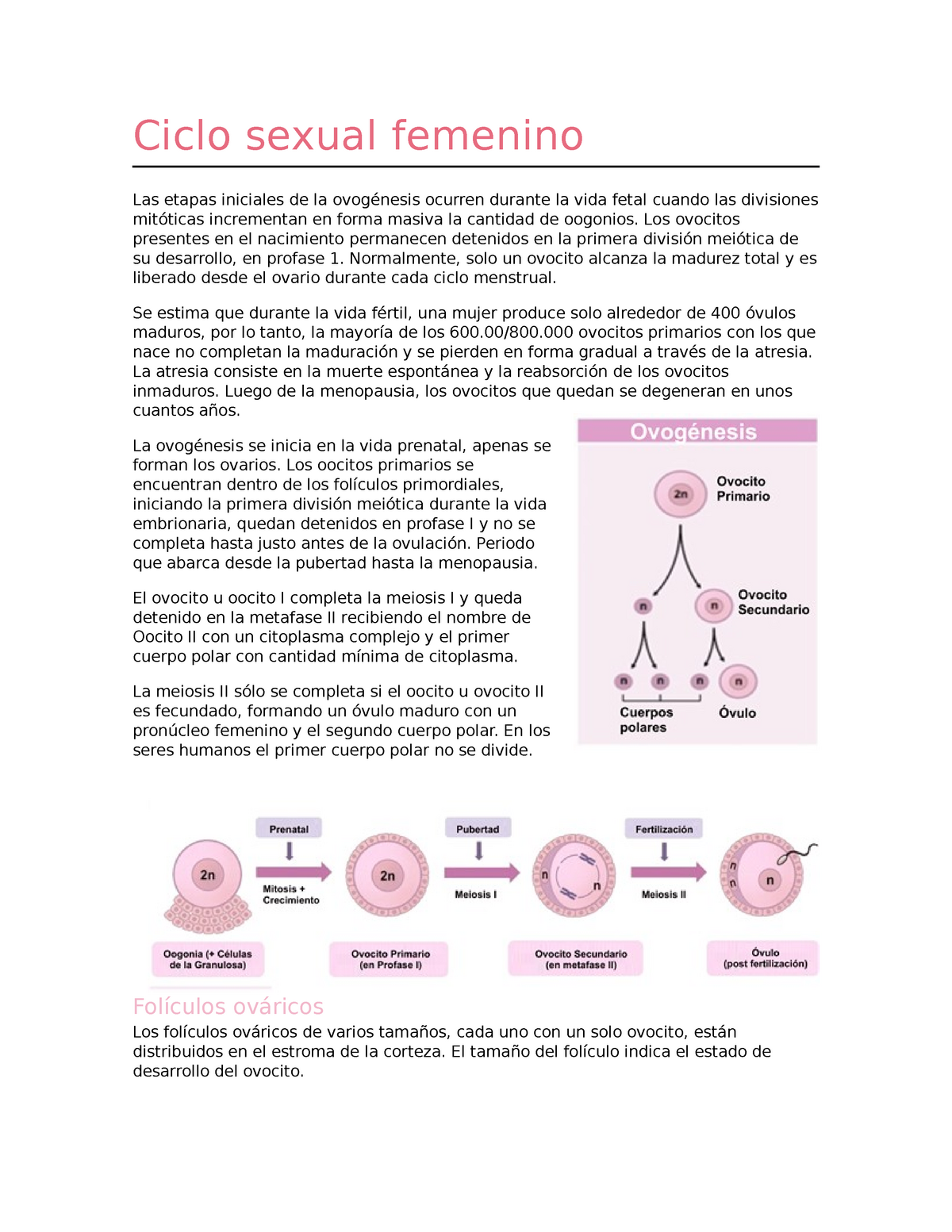 Evolucionar comienzo creer Ciclo sexual femenino - Los ovocitos presentes en el nacimiento permanecen  detenidos en la primera - Studocu