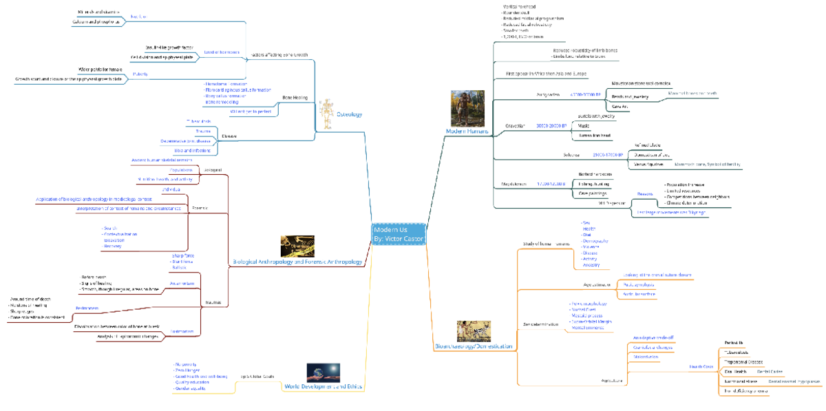 Anthropology Visual Study Guide OSU 3237 – MindView