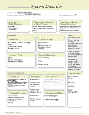 Penicillin ATI Medication Template - ACTIVE LEARNING TEMPLATES ...