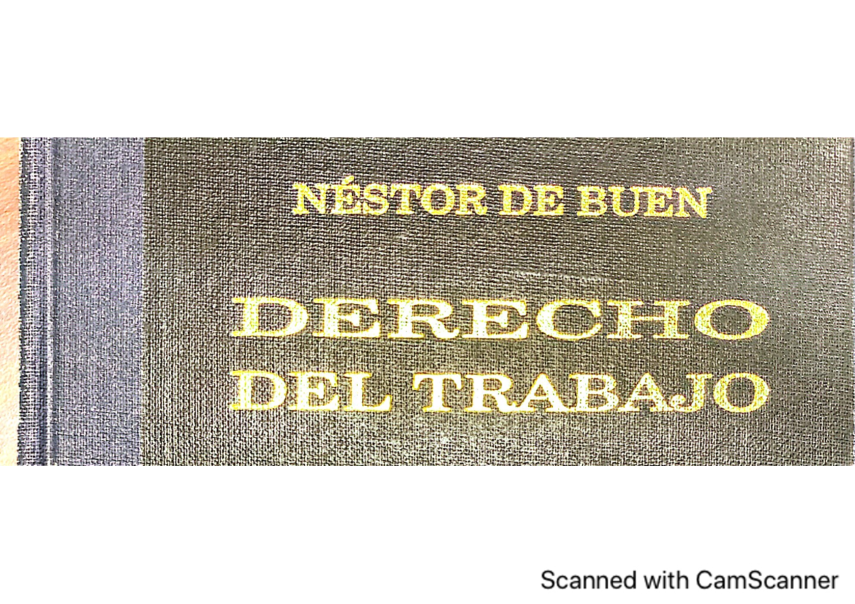 Derecho Del Trabajo Nestor De Buen