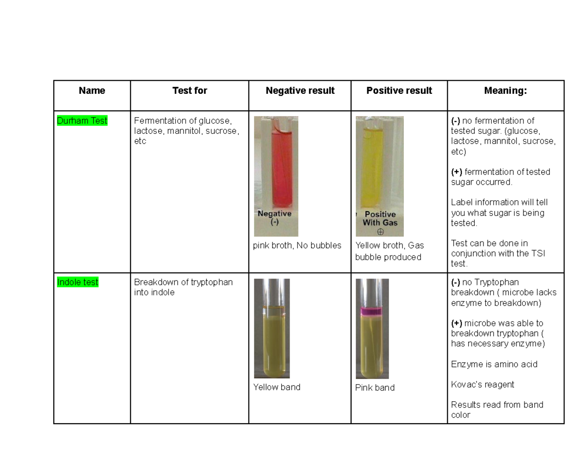 Lab study guide - Durham Test Fermentation of glucose, lactose ...