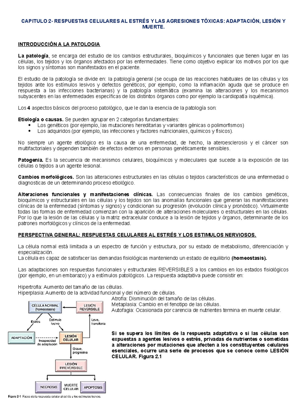 Brotes de hiperplasia de células prostáticas