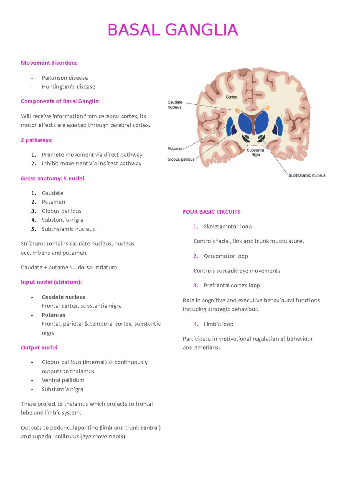 Basal Ganglia - Notes - Basal Ganglia Movement Disorders: - Parkinson 