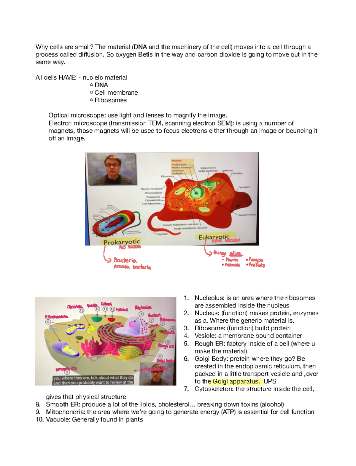 Cellular Structures - Why cells are small? The material (DNA and the ...