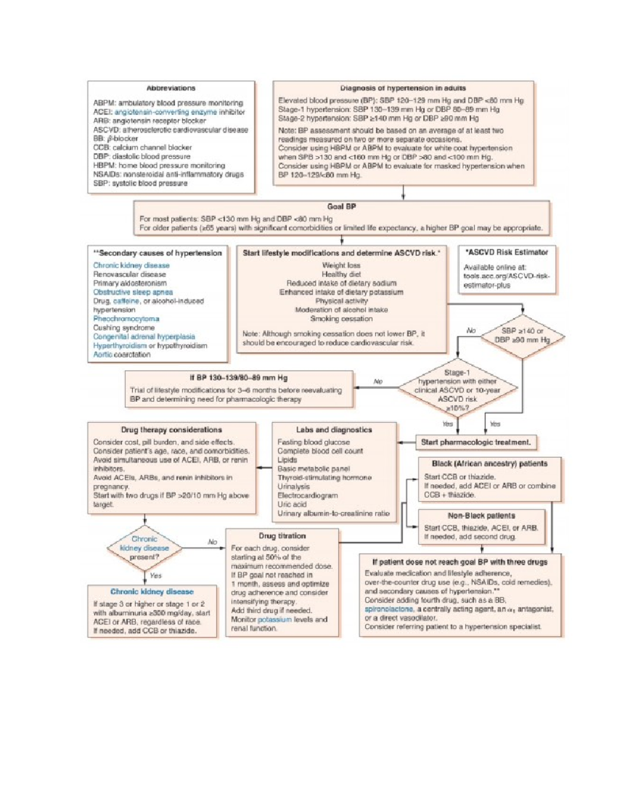 HTN algorithm - htn flow chart - NSG 252 - Studocu